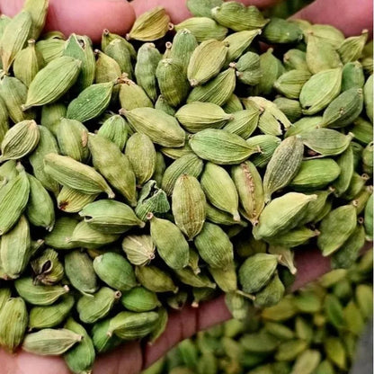 Premium Green Cardamom Dried AD Process Export Quality Aromatic Pods Handpicked Natural Spice Bulk Supply From Saanvisha India