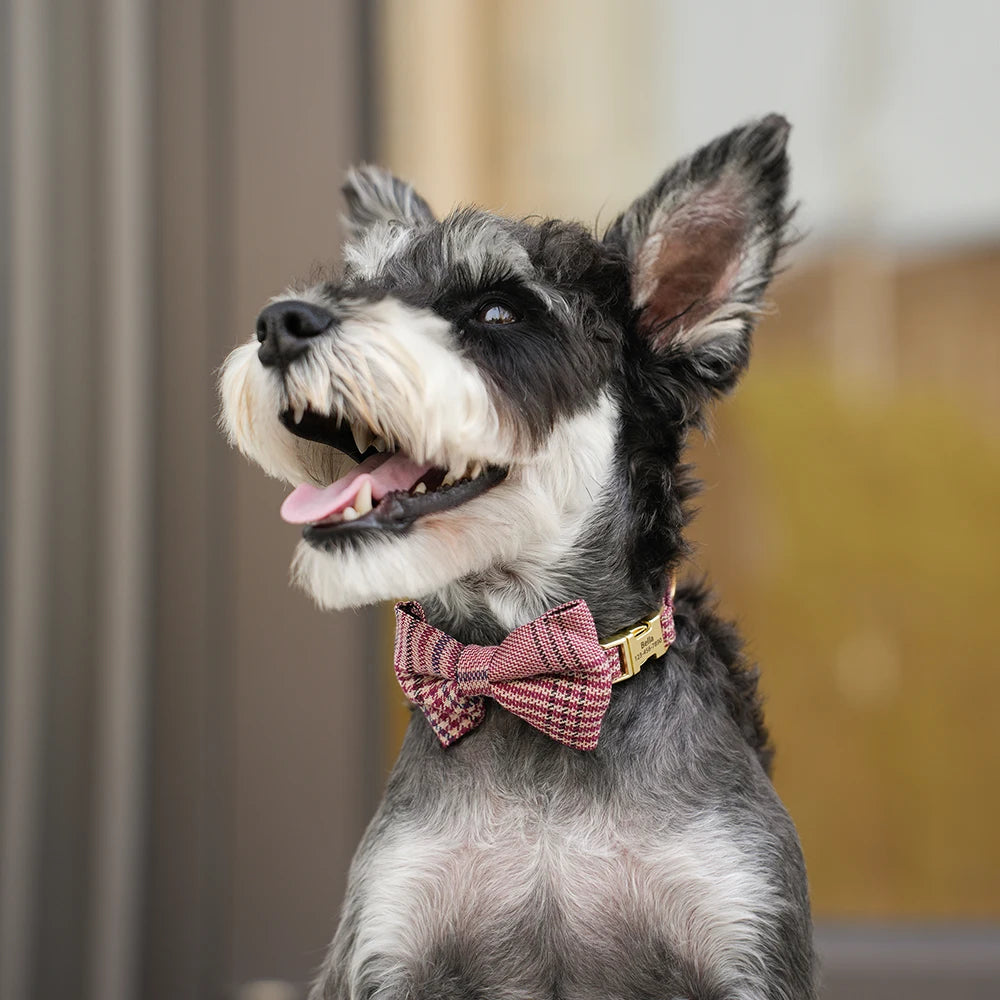 Personalized Dog Collar Cute Bowtie Puppy Cat Free Engraving Pet Buckle Collar For Small Medium Dogs Cats Chihuahua Yorkshire
