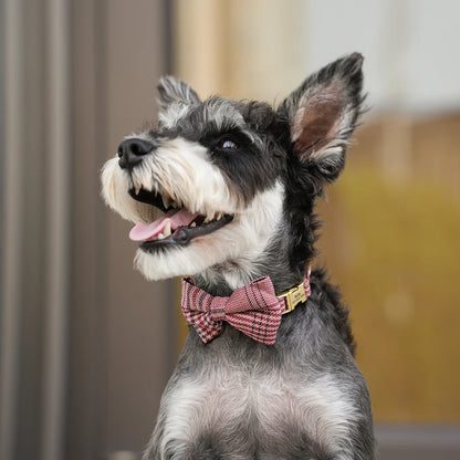 Personalized Dog Collar Cute Bowtie Puppy Cat Free Engraving Pet Buckle Collar For Small Medium Dogs Cats Chihuahua Yorkshire