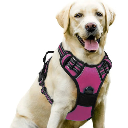 Medium Large Dog Collars Harness Big Vests Harness for Dog Pet Shop Everything for Dogs Small Dogs Harness Puppy Accessories