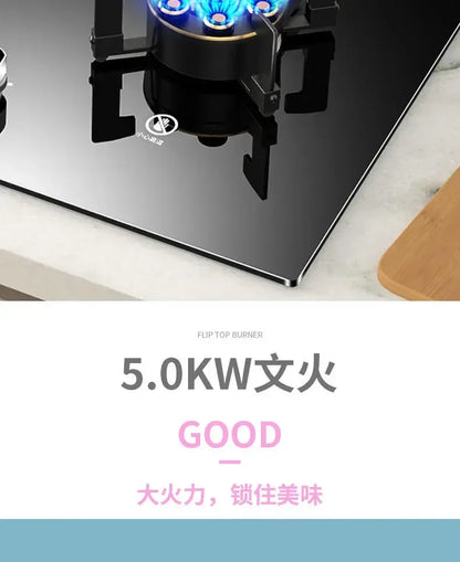 Household Built-in Double Stove Gas Stoves Table Kitchen Kitchens Cookers Countertops Cooker Home Recessed Top Cooktop Hob Panel