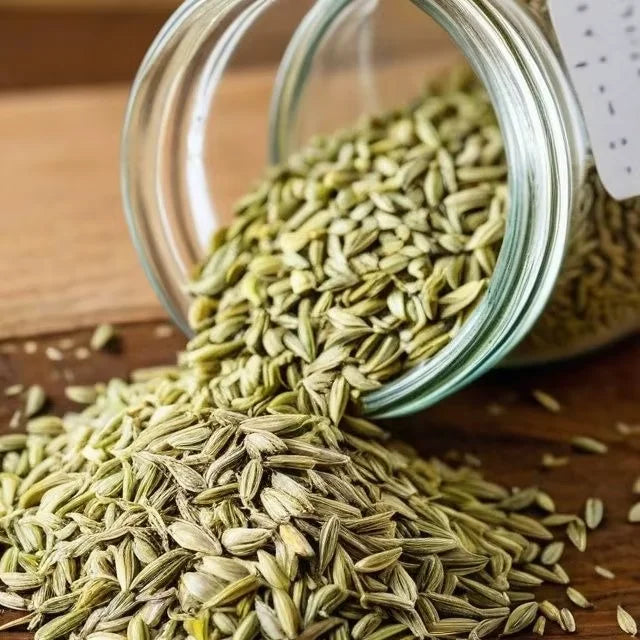 Premium Fennel Seeds Saunf Export Quality Whole Spice Sweet Aroma Cleaned Graded Bulk Supply from India Cooking Mouth Freshener