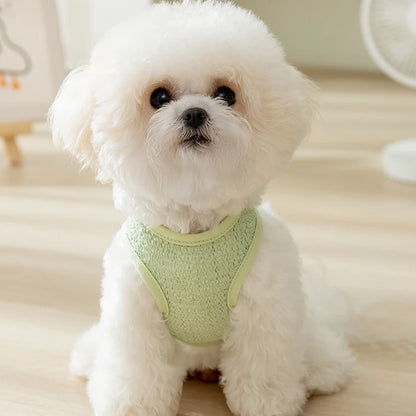Summer Cooling Vest Thin Pet Dog Clothes Breathable Mesh Dog T Shirt Chihuahua Bichon Dog Clothing Cat Vests Puppy Undershirts
