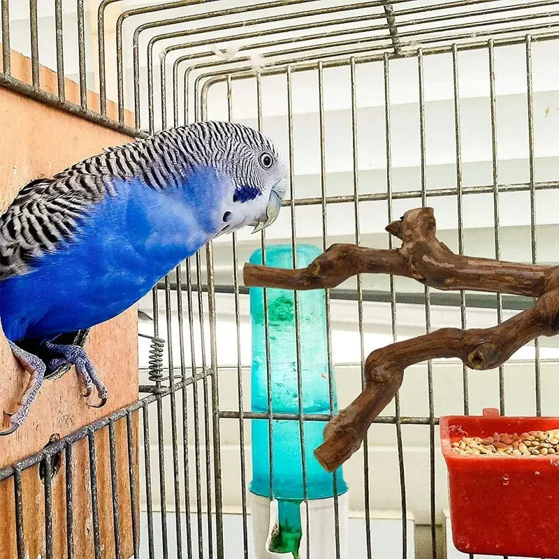 1Pc Pet Standing Stick Wild Grape Wood Pole Parrot Cockatiel Parakeet Station Board Bite Claw Grinding Toy Bird Cage Accessories