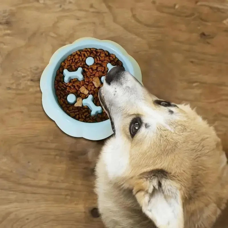 Pet Supplies Color Slow Feeder Cat Bowl Anti-choking Plastic Dog Puzzle Food Bowl, Dog Water Basin For Anxiety Relief