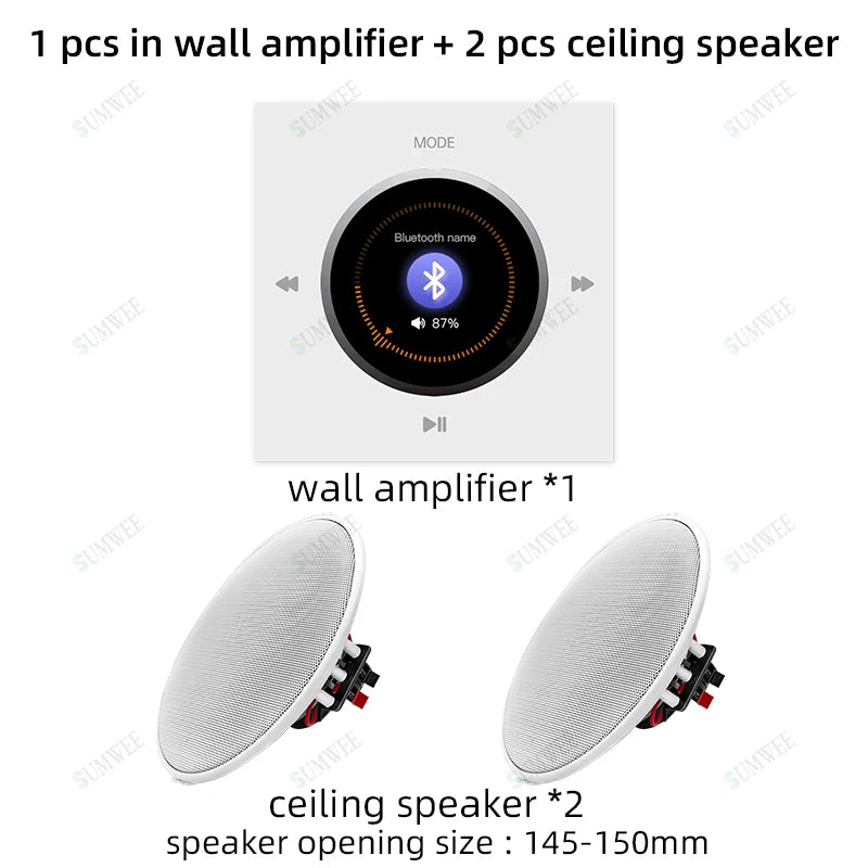 Home audio Wall power Amplifier Mini Stereo Background Music control Panel Bluetooths sound player System with Ceiling speakers