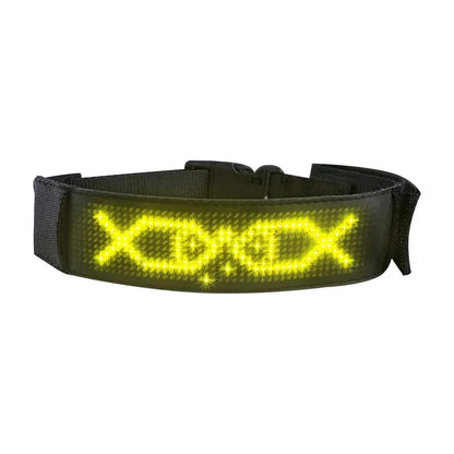 LED Dog Collar DIY ID LED Tag Nameplate Night Glowing Pet Collars Adjustable Safety Puppy Collar for Small Medium Large Dogs