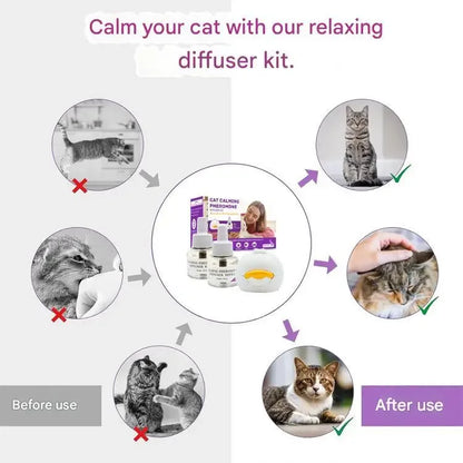 6-pack pet soothing electric heating supplement liquid, cat and dog pheromone, emotional soothing and soothing agent