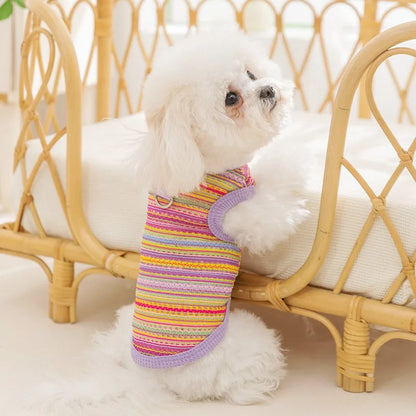 Breathable Mesh Pet Dog Vest Dog Summer Clothes Thin Cooling T Shirt Chihuahua Bichon Costume Cat Clothing Girls Puppy Shirt New