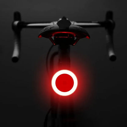 Multi Lighting Modes Bicycle Tail Light Cycling Lamp USB Rechargeable Led Flash Tail Rear Lights MTB Seatpost Bike Accessories