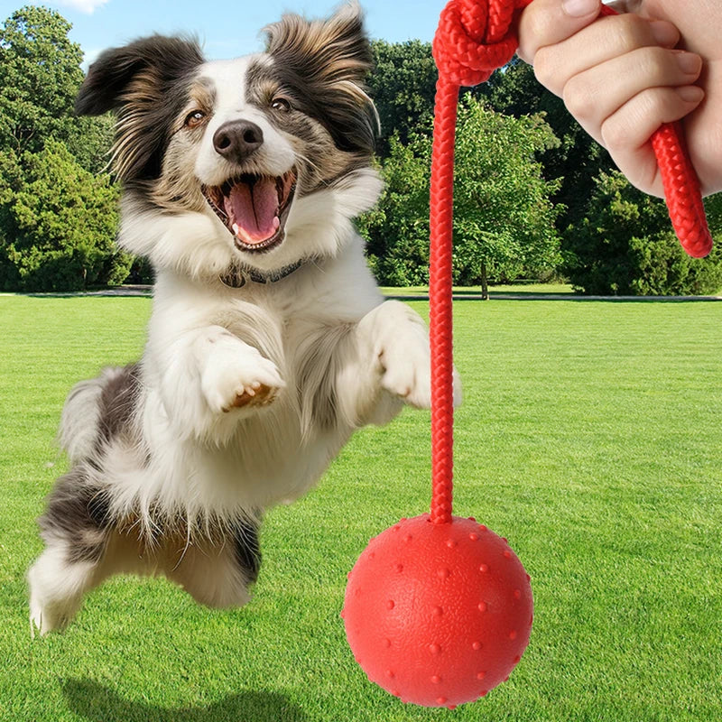 Rubber Ball with Rope Pet Teeth Indestructible Bite Toy Funny Puppy Training Solid Balls Pets Dog Chew Molar Interactive Toys