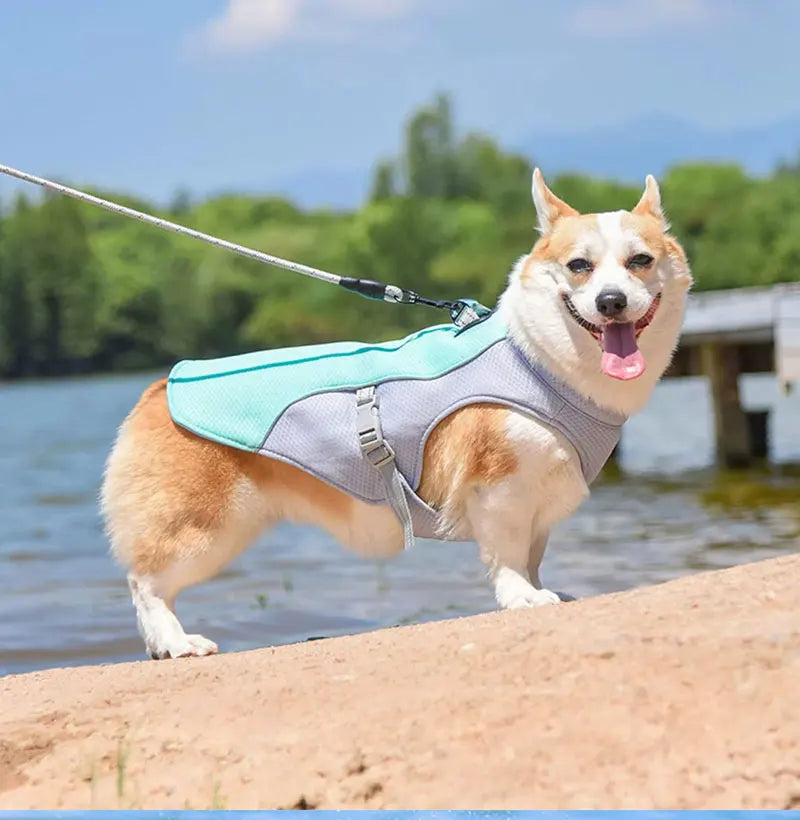 Dog Cooling Vest Dog Harness Cooler Jacket ,Reflective Breathable for Walking Dog Outdoor Camping and Hunting Training