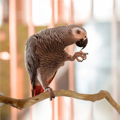 1Pc Pet Standing Stick Wild Grape Wood Pole Parrot Cockatiel Parakeet Station Board Bite Claw Grinding Toy Bird Cage Accessories