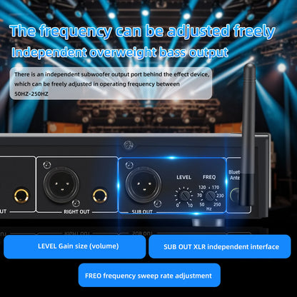 FULUODE EQ315 Professional Digital Equalizer Tuner for Stage Audio Noise Reduction with Segmented Display Audio Performance Equi