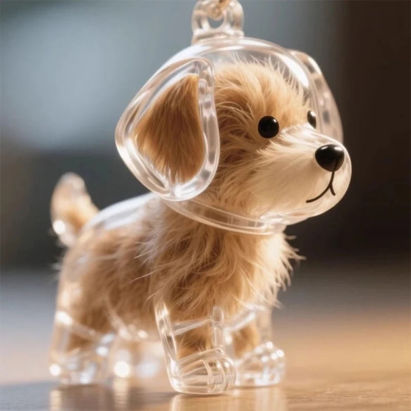 Cute Clear Puppy Hair Memorial DIY Pendant Keychain Decor Keepsake Capsule Pet's Dog Fur Container Pet Lovers Home Display Gifts
