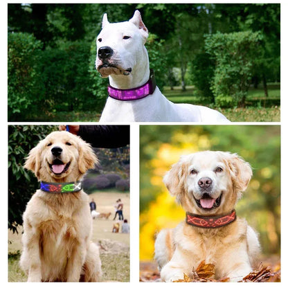LED Dog Collar DIY ID LED Tag Nameplate Night Glowing Pet Collars Adjustable Safety Puppy Collar for Small Medium Large Dogs
