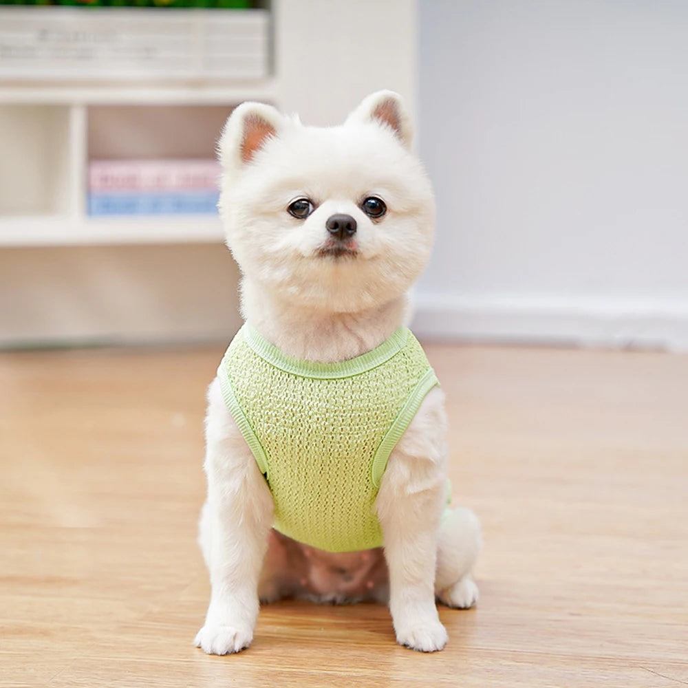 Cute Dog Cooling Vest Solid Breathable Mesh Thin Small Dog Summer Clothes  Bichon Medium Cat T Shirts Clothing Puppy Undershirt