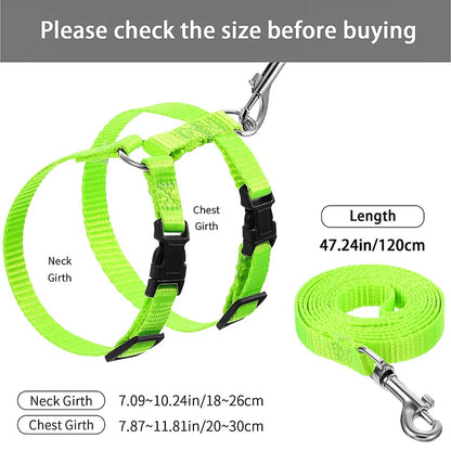 Adjustable Pet Cat Collar For Cats Cozy Nylon Rabbit Kitten Kedi Harness Leash Set Dog Cat Accessories Products For Pets