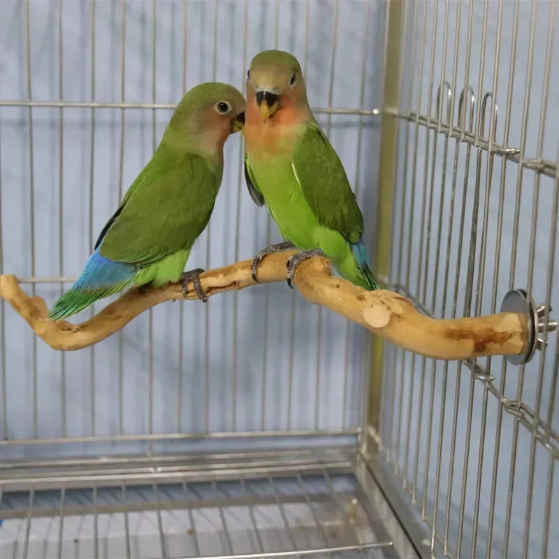 1Pc Pet Standing Stick Wild Grape Wood Pole Parrot Cockatiel Parakeet Station Board Bite Claw Grinding Toy Bird Cage Accessories