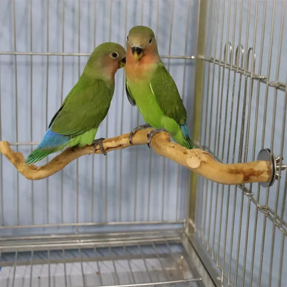 1Pc Pet Standing Stick Wild Grape Wood Pole Parrot Cockatiel Parakeet Station Board Bite Claw Grinding Toy Bird Cage Accessories
