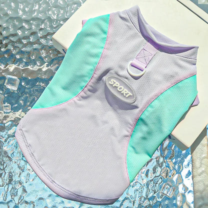 Summer Cooling Vest Thin Pet Dog Clothes Breathable Mesh Dog T Shirt Chihuahua Bichon Dog Clothing Cat Vests Puppy Undershirts