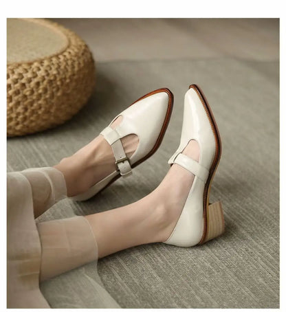 Ladies Shoes 2024 New Mary Janes Women's High Heels Fashion Buckle Strap Office and Career High Quality Pointed Toe Heels Women