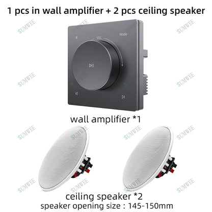 Mini Wall Amplifier Panel Bluetooth-compatible HiFi Home Theater Stereo Sound Audio TF USB Music control system ceiling speakers