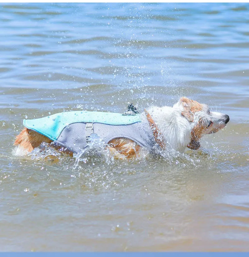 Dog Cooling Vest Harness, Lightweight Breathable Small Puppy Cooler Jacket with Adjustable Buckle for Outdoor Beach, Hiking, Tr