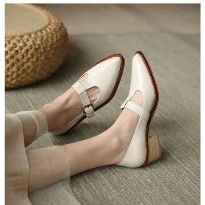 Ladies Shoes 2024 New Mary Janes Women's High Heels Fashion Buckle Strap Office and Career High Quality Pointed Toe Heels Women