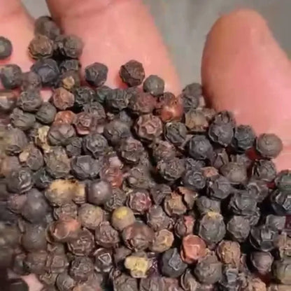 Premium Dried AD Black Pepper Export Quality Whole Bold Berries High Pungency Rich Aroma Cleaned Graded Bulk Supply Kerala India