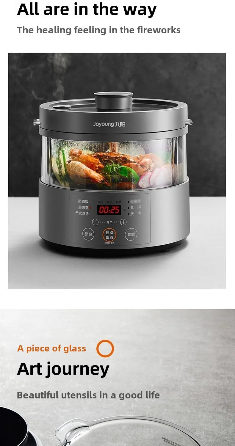 Steam rice cooker smart home low-sugar glass inner liner steamer multi-function rice cooker S160