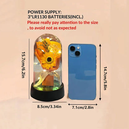 Mother's Day Graduation Season Gift Small Sunflower Plastic Cover to Send Students to Send Teachers to Glow Rose Bouquet Small O