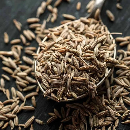 Premium Cumin Seeds Jeera Export Quality Whole Spice Cleaned Natural Seasoning Culinary Aroma from Saanvisha Gujarat India
