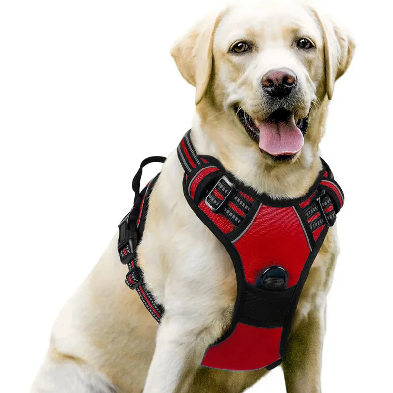 Medium Large Dog Collars Harness Big Vests Harness for Dog Pet Shop Everything for Dogs Small Dogs Harness Puppy Accessories