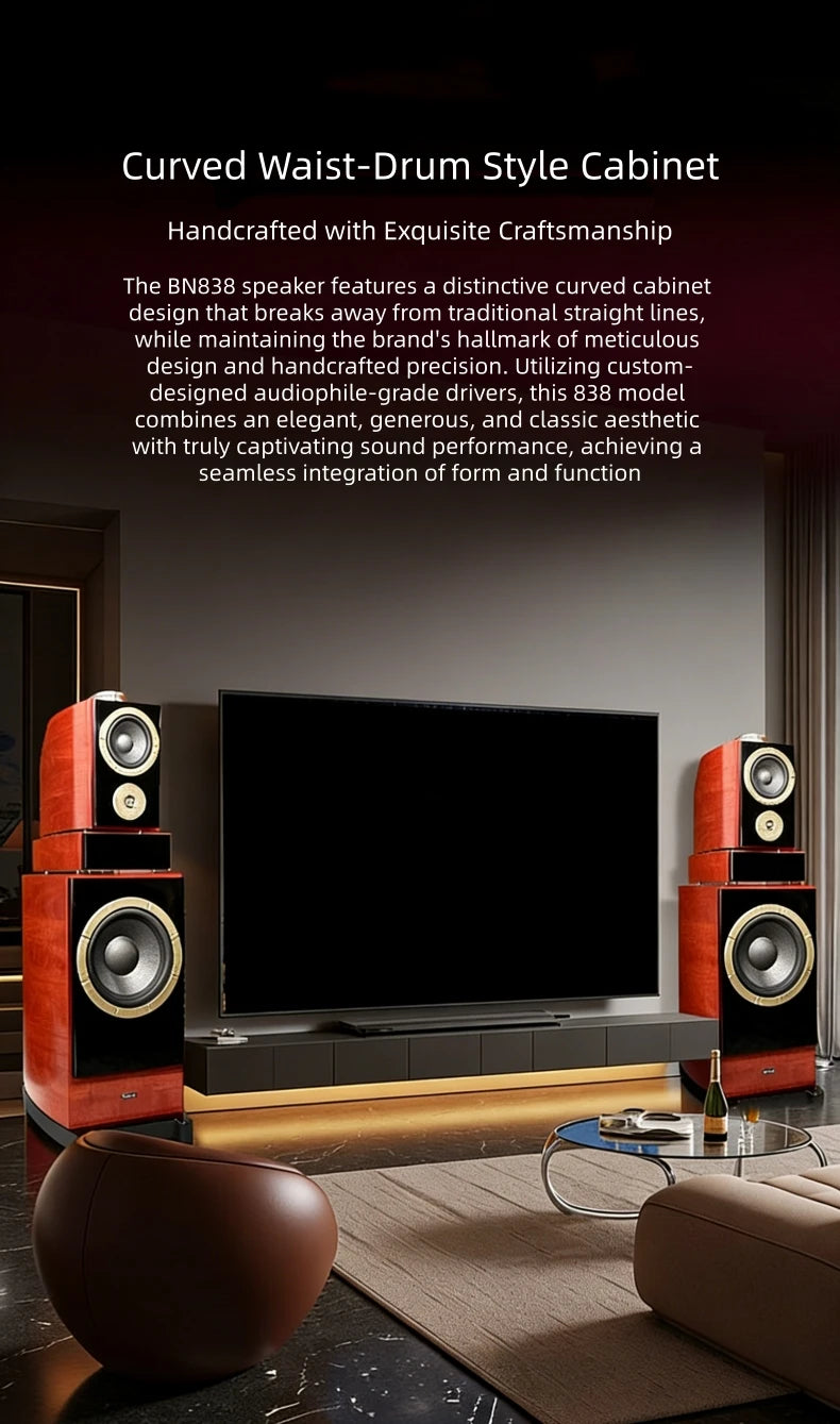 BN838 Hi-Fi Home Theater Speakers with Karaoke Amplifier, Luxury Audio System for Villa & Large Living Rooms