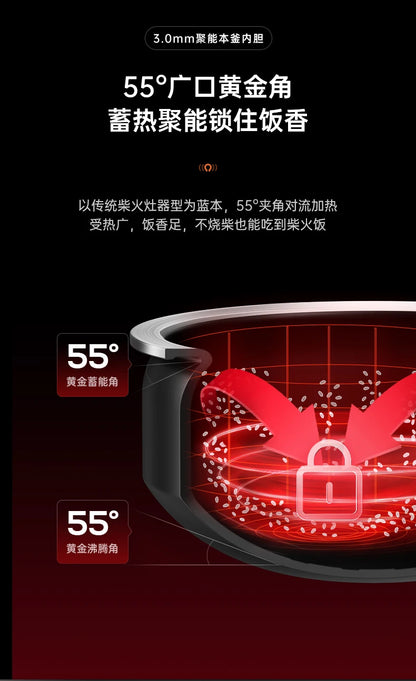 Far-infrared Kettle Rice Cooker Household 4 Liters Large-capacity Smart Rice Cooker Rice Cooker 220V Electric