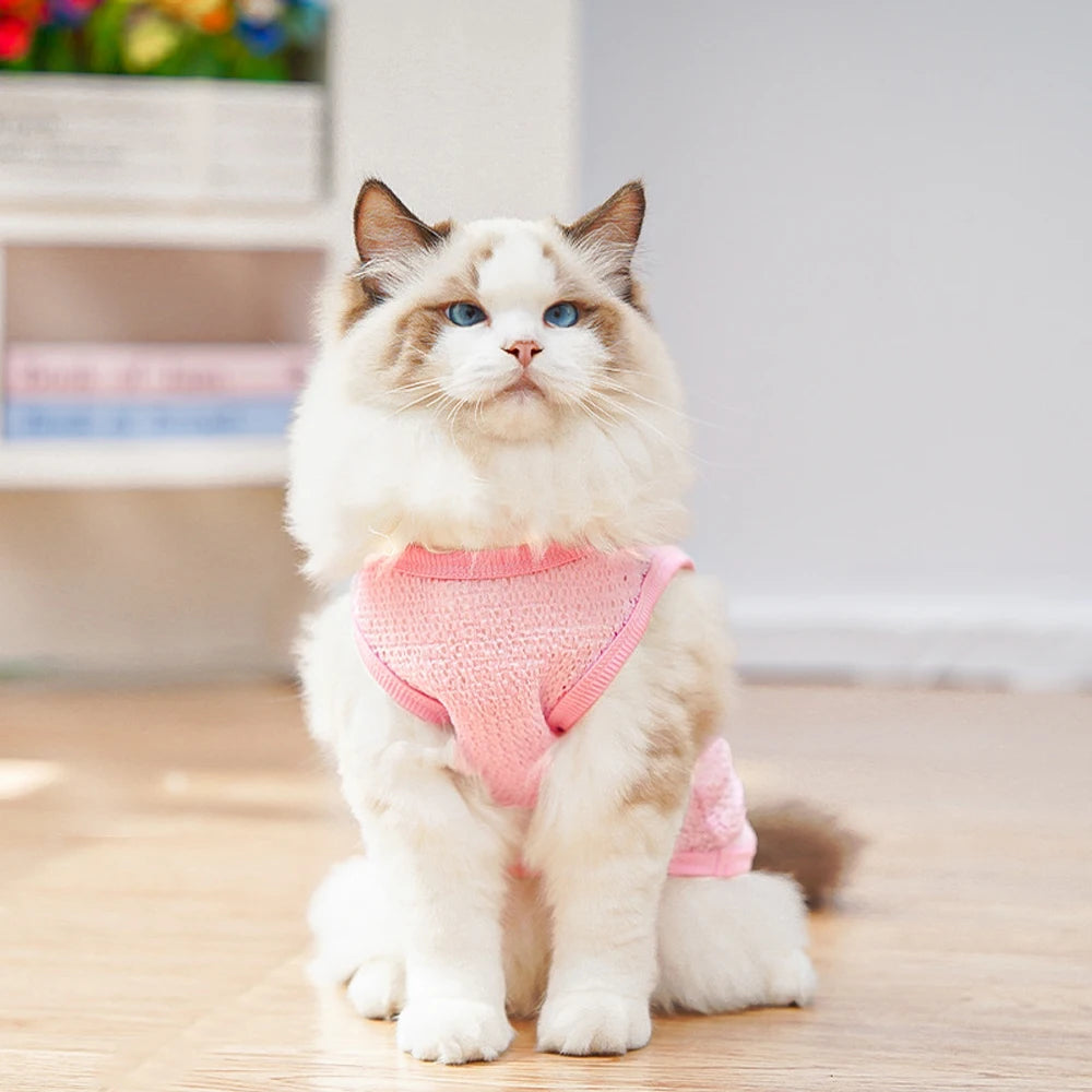 Cute Dog Cooling Vest Solid Breathable Mesh Thin Small Dog Summer Clothes  Bichon Medium Cat T Shirts Clothing Puppy Undershirt