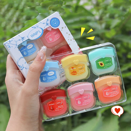 4/6/8pcs Moisturizing Lip Balm Sets Lipstick Makeup Natural Plant Base Moisturizer Lip Balm Anti-Cracking Lips