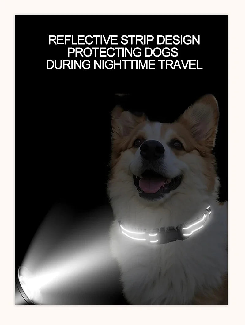 Reflective Dog Collar Strap with Adjustable Safety Nylon Pet Collar Pet Traction Rope Suitable for Small and Medium-Sized Pets
