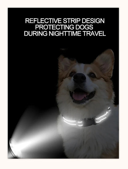Reflective Dog Collar Strap with Adjustable Safety Nylon Pet Collar Pet Traction Rope Suitable for Small and Medium-Sized Pets