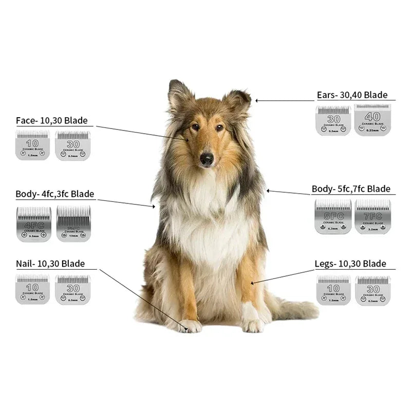 Pet Dog Cat Detachable Ceramic Blade Compatible with Andis,Oster A5 & 76,Wahl KM 10 Series Animals Grooming Clippers