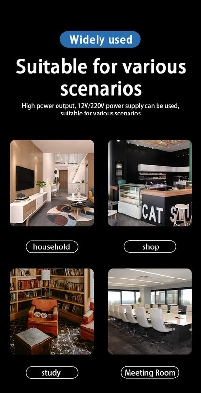 Home High-power Bluetooth Power Amplifier 2.0 Channel Constant Resistance Mini Power Amplifier Small Car Power Amplifier Multy