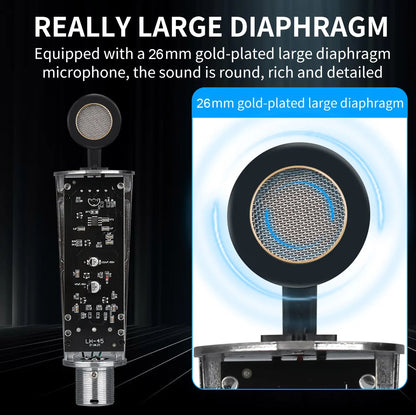 KDES AI XLR Condenser Microphone Professional Cardioid Studio Mic for Recording Podcasting Voice Over Streaming Home Studio