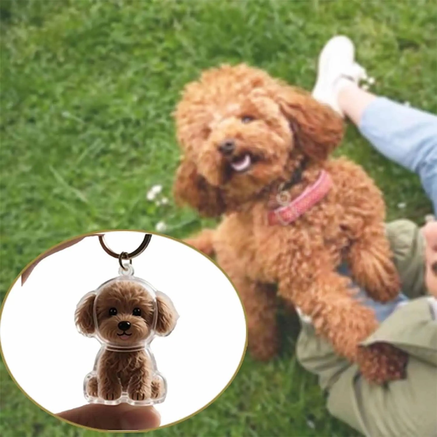 Adorable Dog Hair Storage Pendant Transparent Lovely Pet Hair Storage Box Keychain Handmade DIY Pet Souvenirs for Pet Lovers