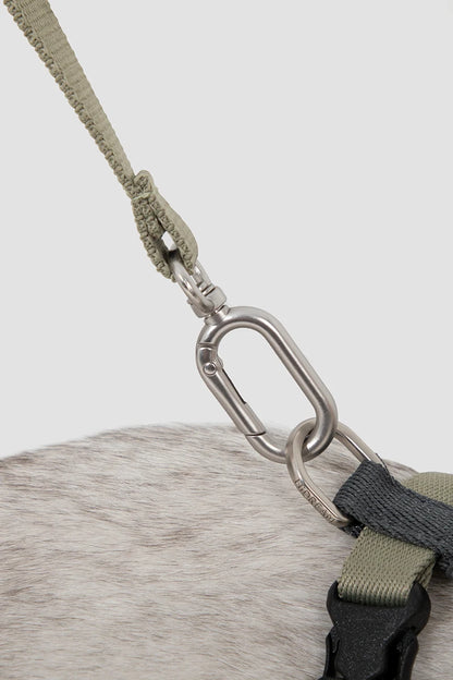 Cat Harness Leash Set Traction Rope Kitten Chest Strap Pet Outdoor Supplies for Pet Breathable Harness Leash Puppy Cat Vest