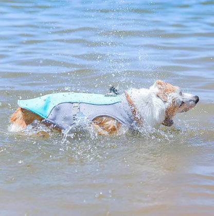 Dog Cooling Vest Dog Harness Cooler Jacket ,Reflective Breathable for Walking Dog Outdoor Camping and Hunting Training