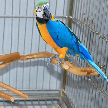 1Pc Pet Standing Stick Wild Grape Wood Pole Parrot Cockatiel Parakeet Station Board Bite Claw Grinding Toy Bird Cage Accessories