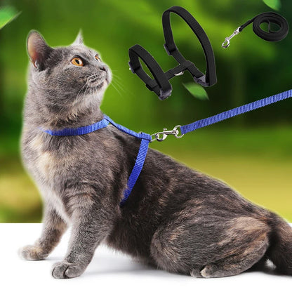Adjustable Pet Cat Collar For Cats Cozy Nylon Rabbit Kitten Kedi Harness Leash Set Dog Cat Accessories Products For Pets