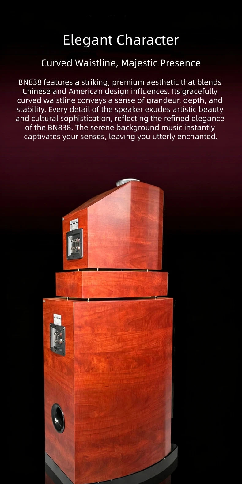BN838 Hi-Fi Home Theater Speakers with Karaoke Amplifier, Luxury Audio System for Villa & Large Living Rooms