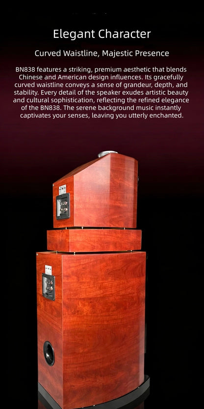 BN838 Hi-Fi Home Theater Speakers with Karaoke Amplifier, Luxury Audio System for Villa & Large Living Rooms